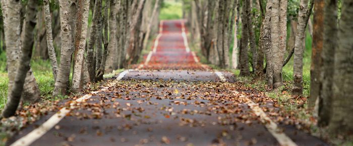 Slips and trips in public places Slips and trips in public places